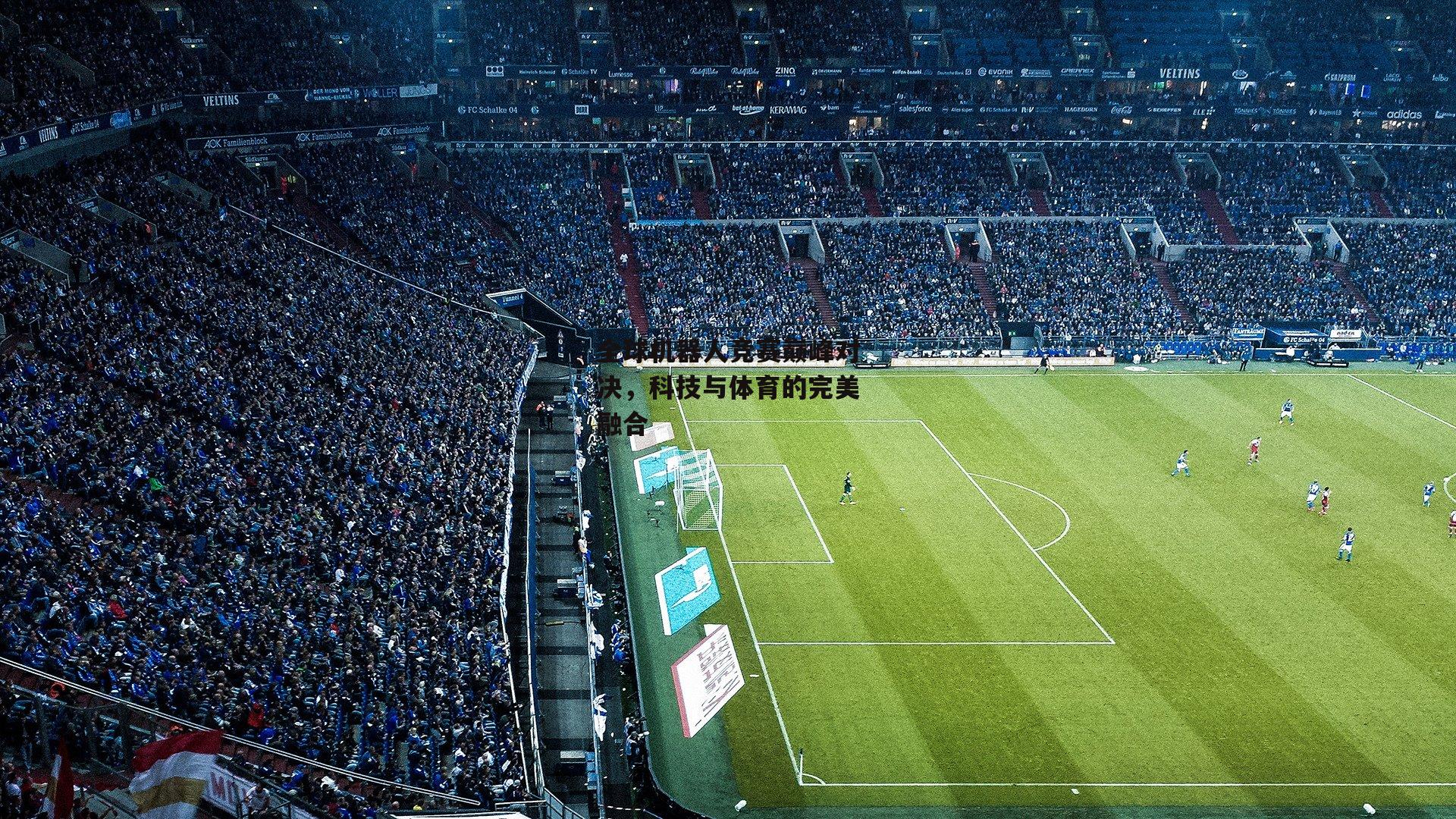 全球机器人竞赛巅峰对决,科技与体育的完美融合