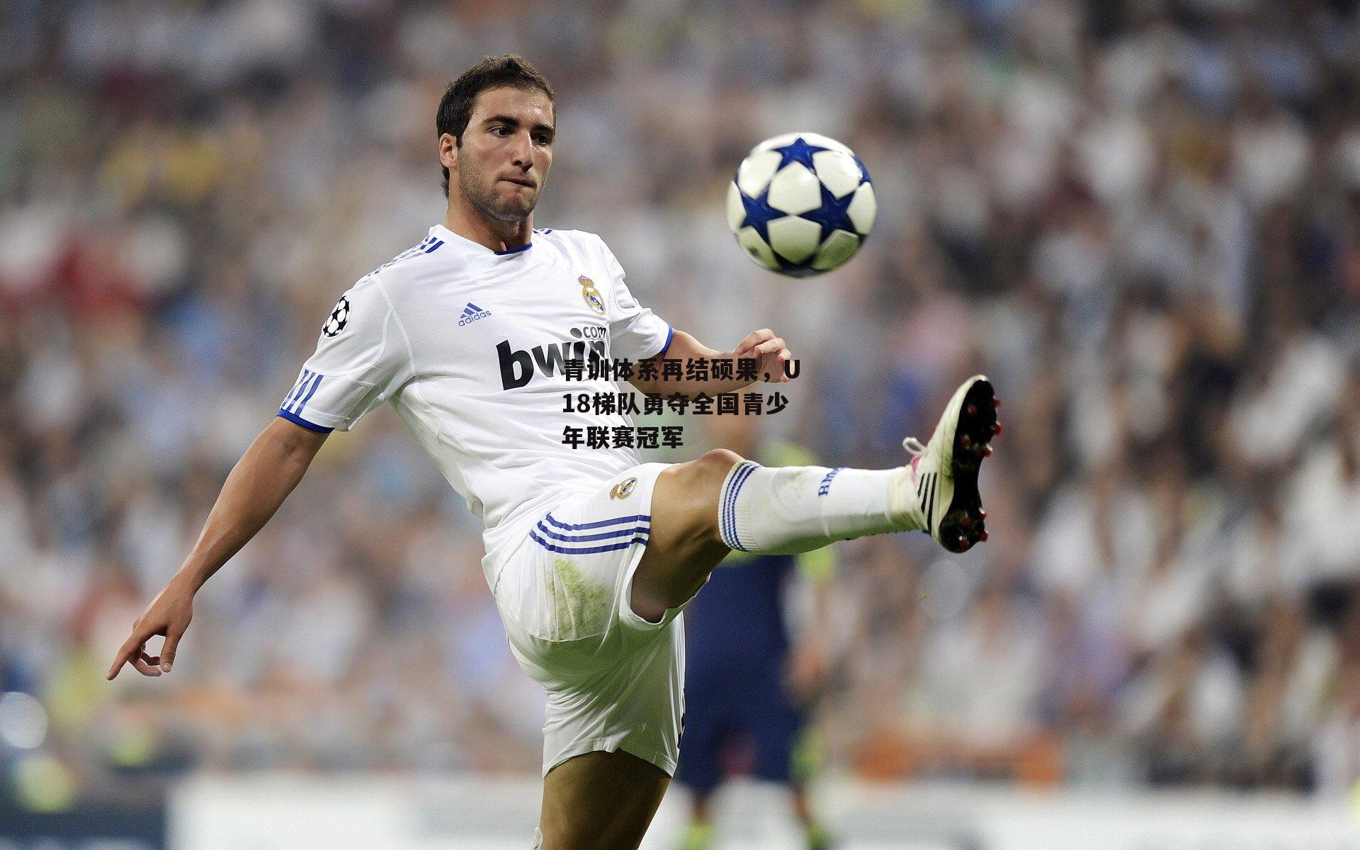 青训体系再结硕果,U18梯队勇夺全国青少年联赛冠军